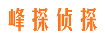 赛罕市调查公司